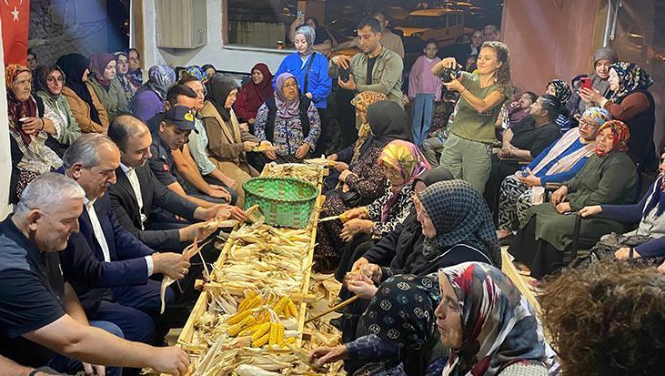 200 yıllık gelenek: Bartın’da köylüler 3 saat boyunca topluca mısır soydular